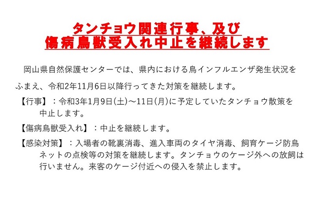 タンチョウ関連行事、及び傷病鳥獣受入れ中止を継続します