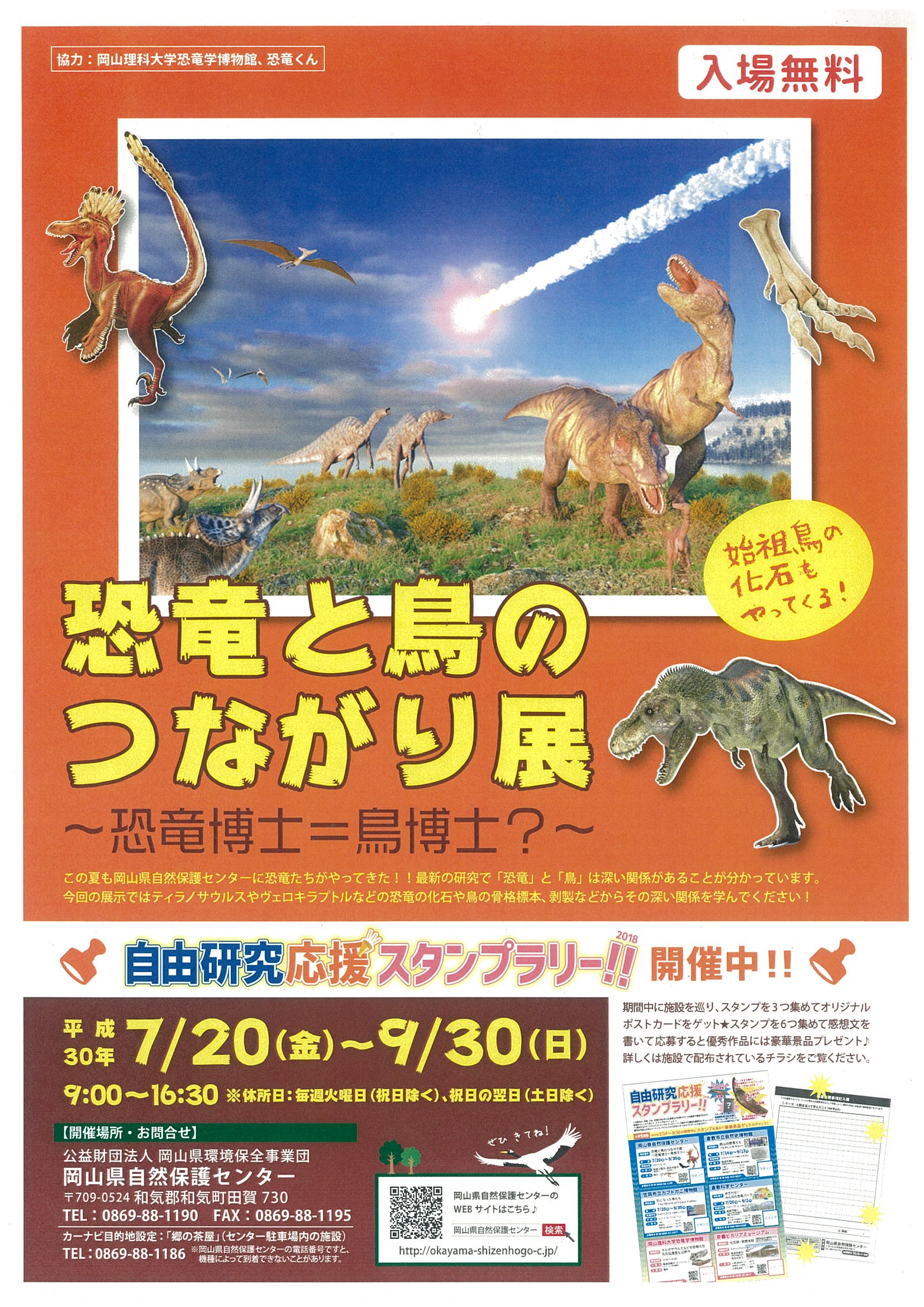 恐竜と鳥のつながり展 ~恐竜博士=鳥博士?~