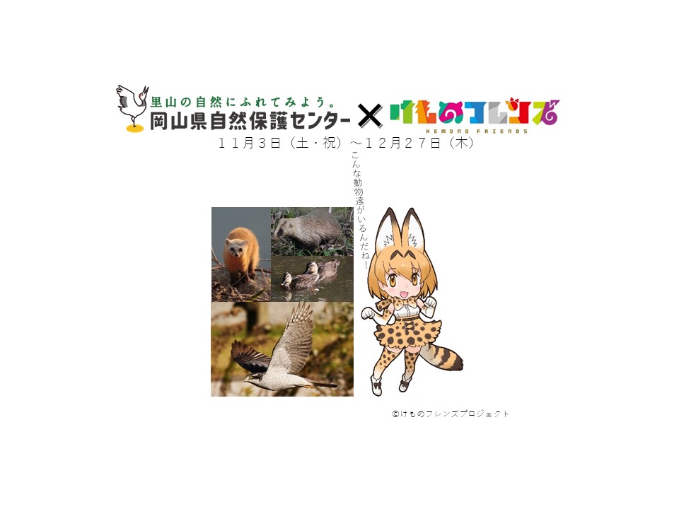 特別コラボ企画「岡山県自然保護センター×けものフレンズ」