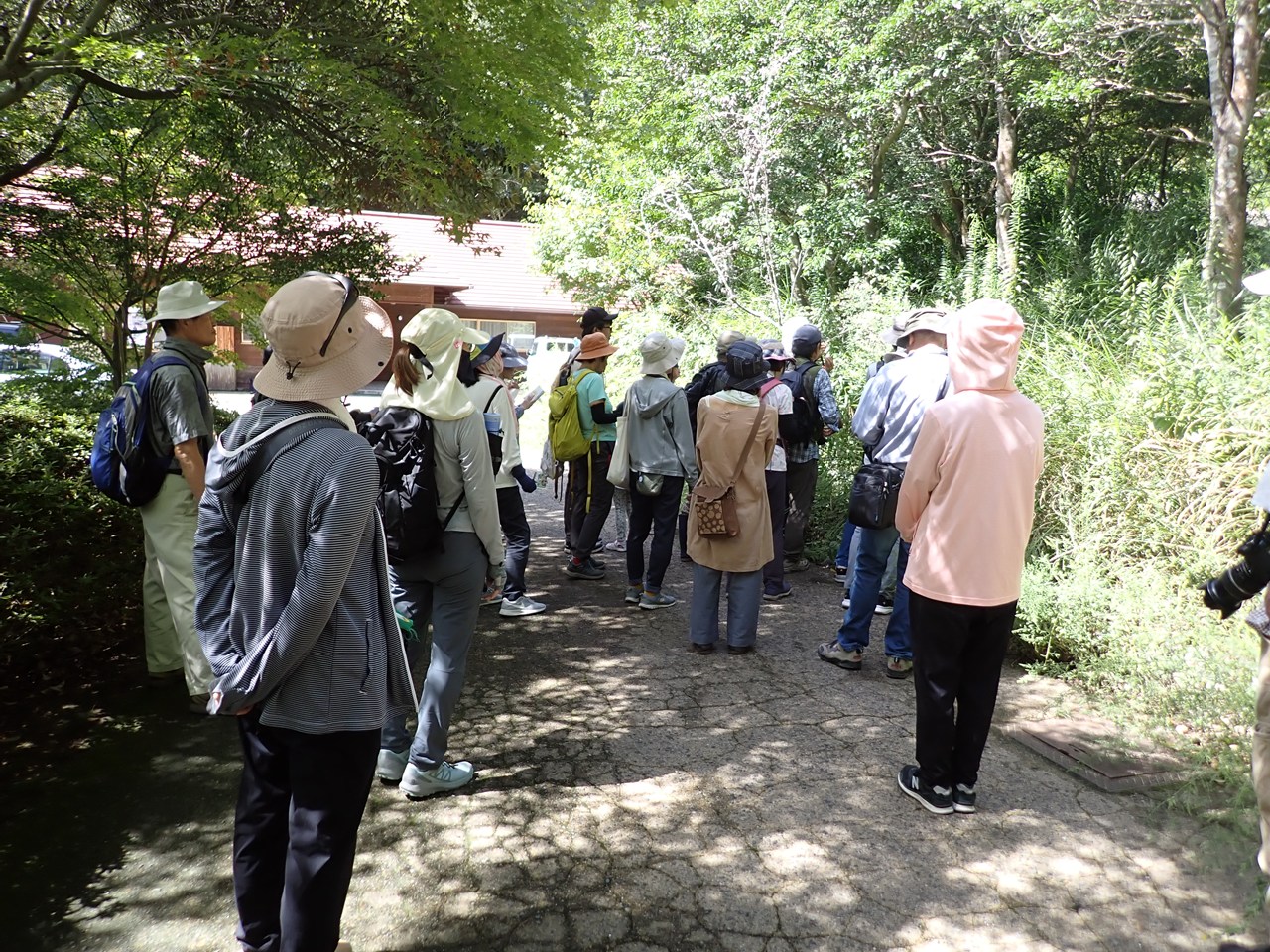 観察イベント「秋の花の彩り」