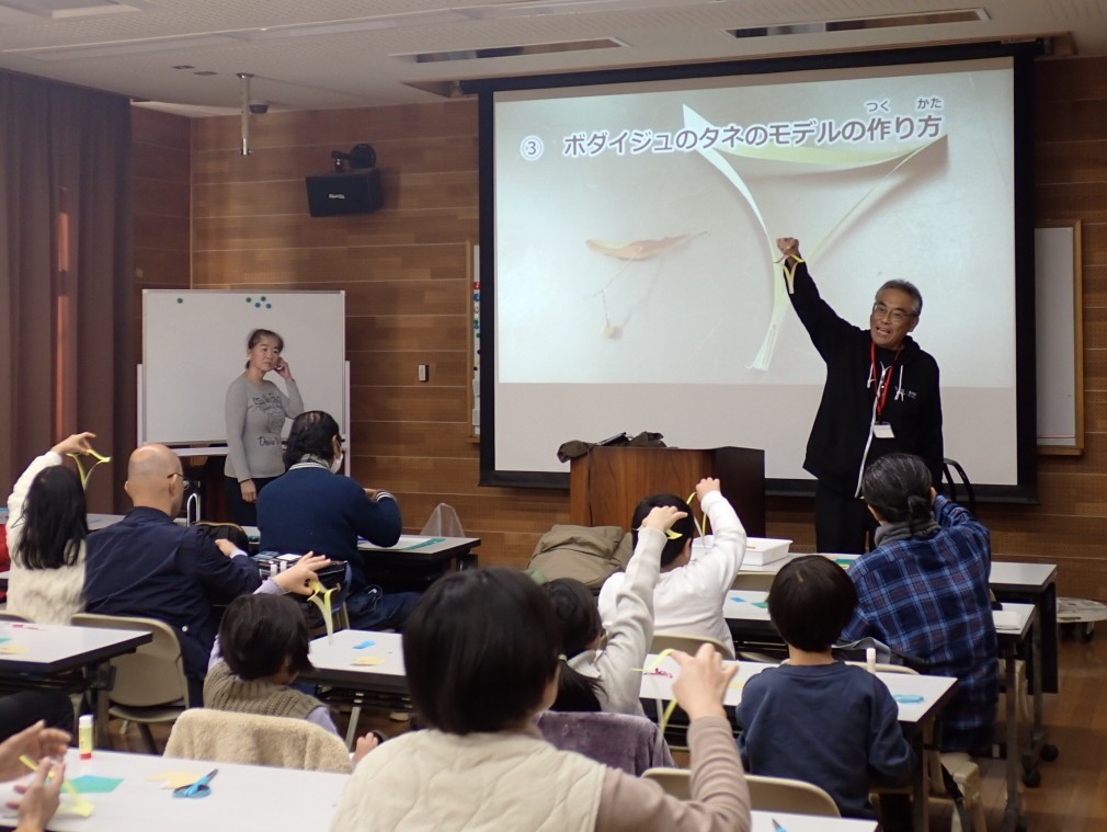 観察会「飛ぶタネのひみつ」実施しました