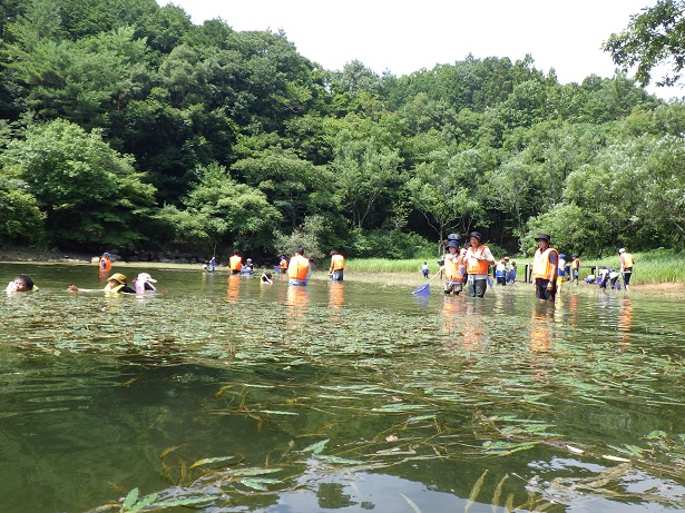 田尻大池で魚採りやりました