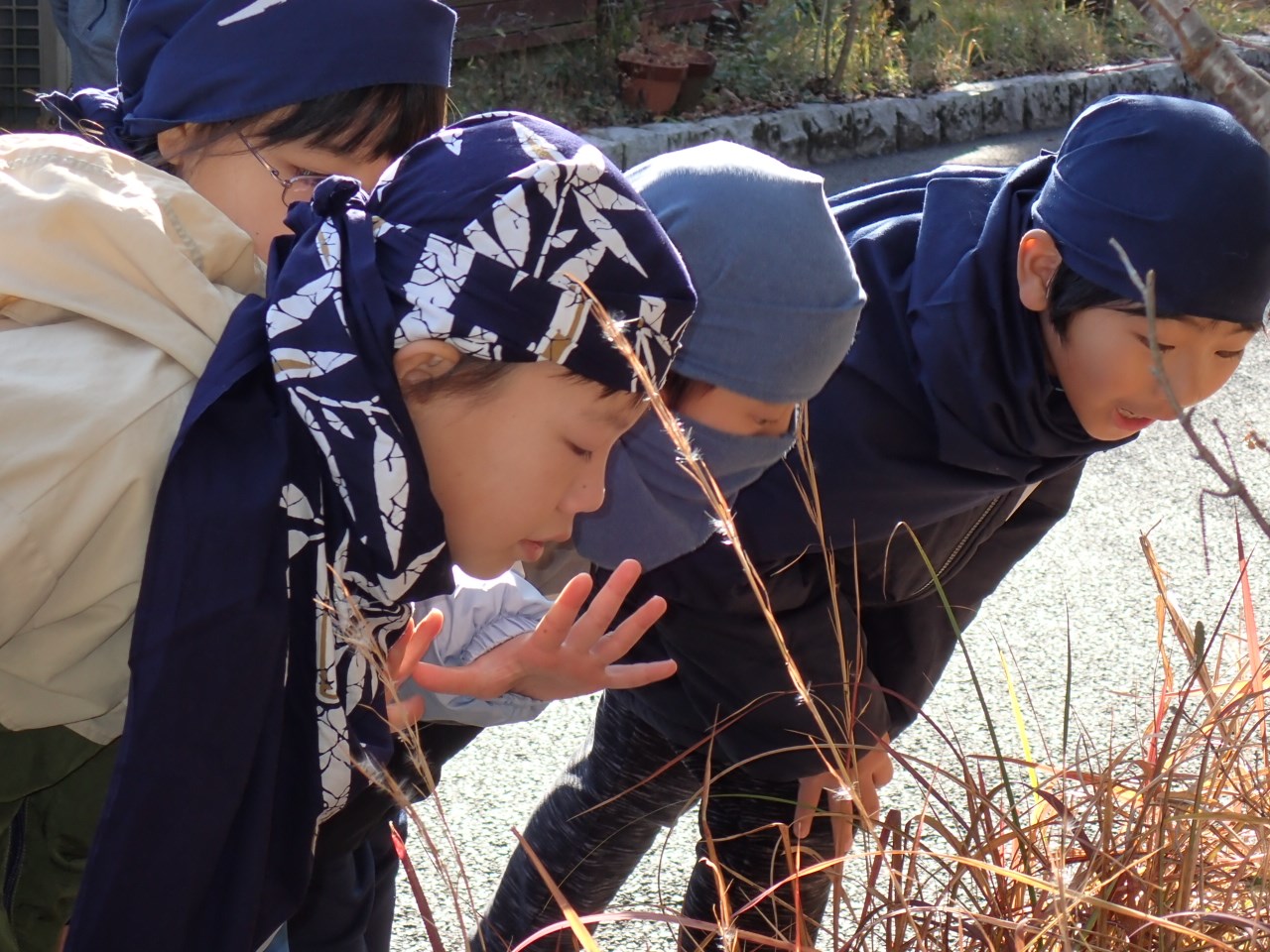 忍者修行！　秋の巻