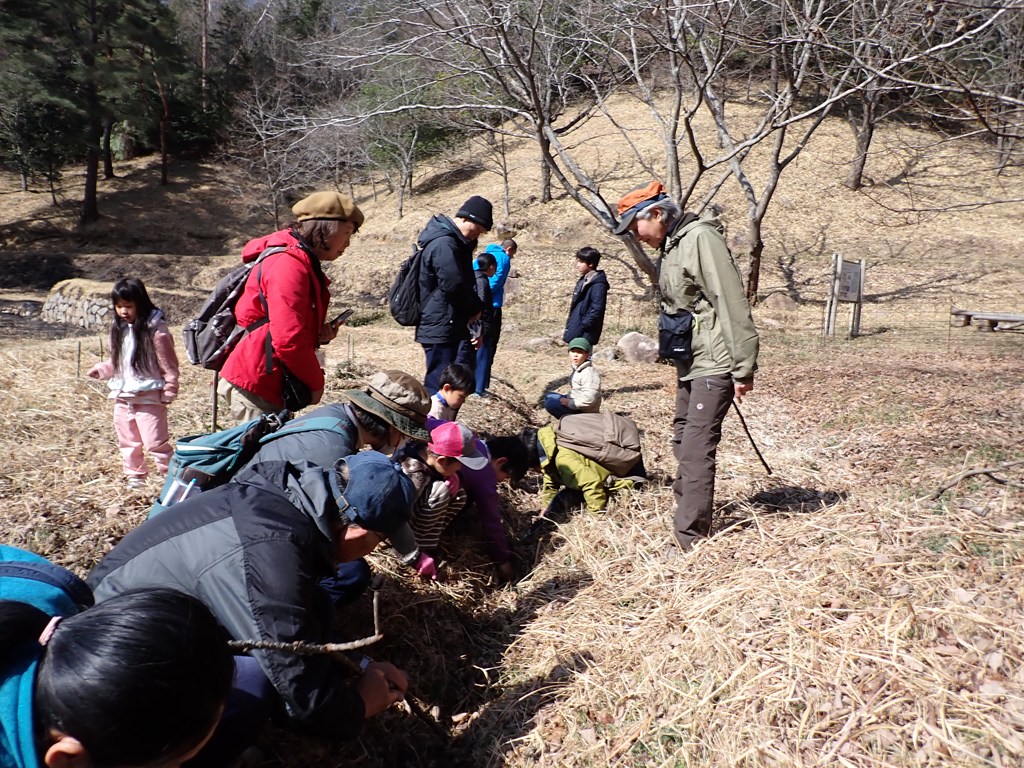 「春の七草」観察＆七草がゆ試食