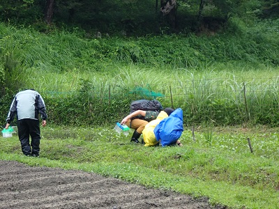 カエル観察会