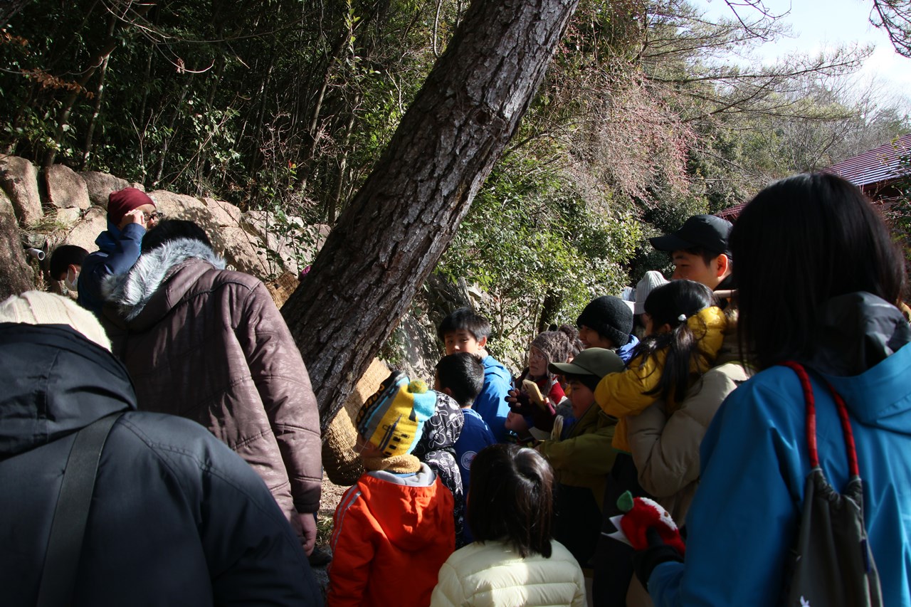 観察イベント「越冬昆虫大発見」