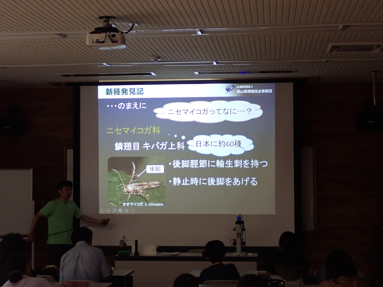 新種発見！ニセマイコガ！