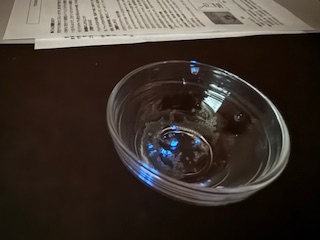 ウミホタル観察会