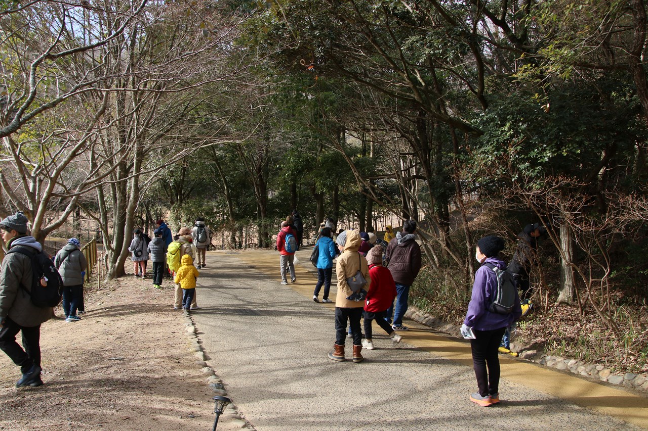 観察イベント「越冬昆虫大発見」