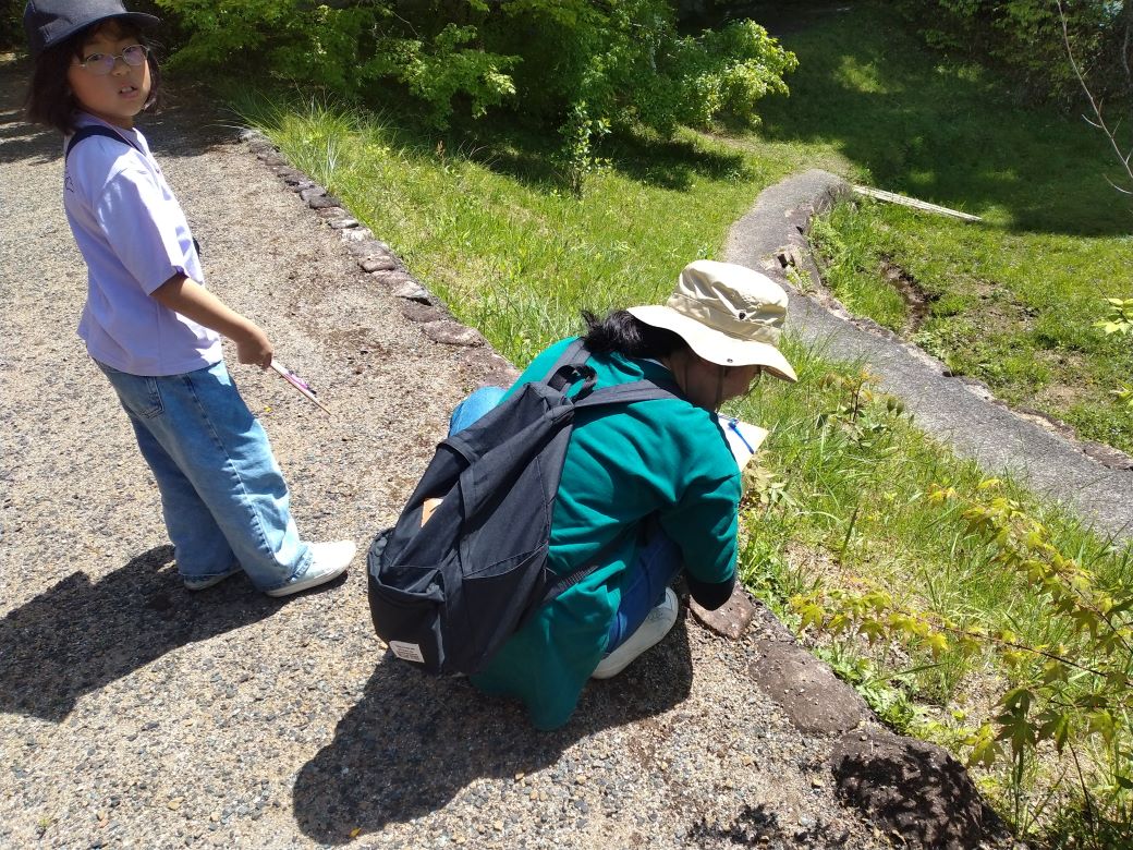 「レンズで見よう生きものたち！」実施しました