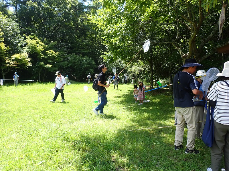 夏といえばセミでしょう！