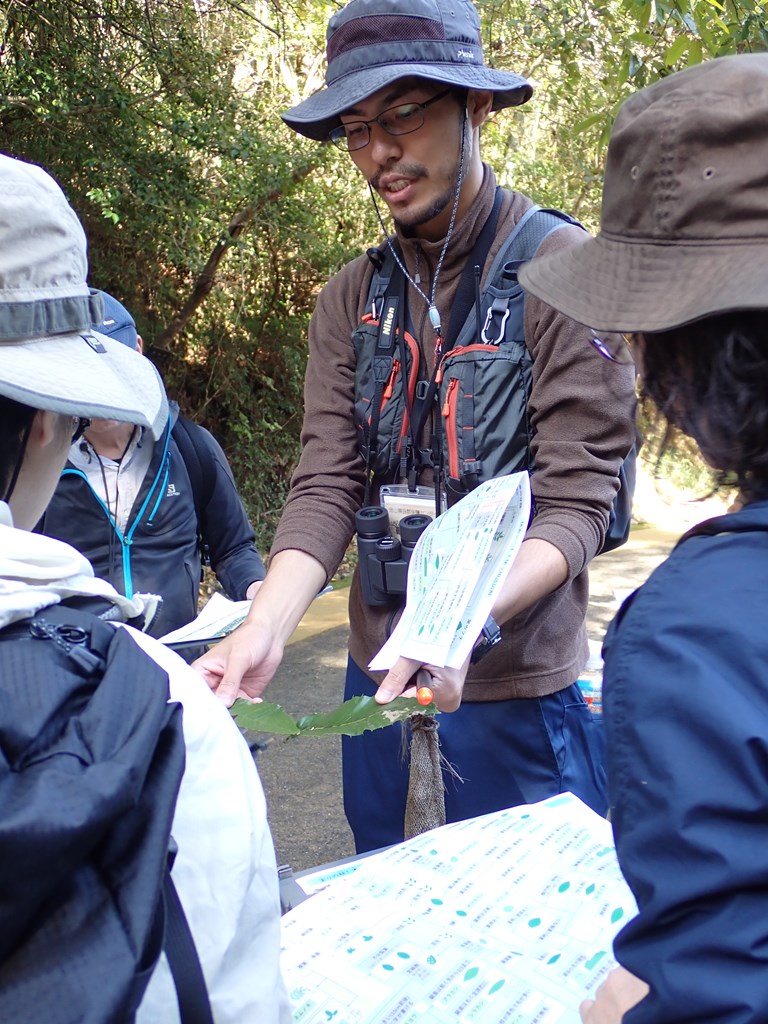 樹木マスターをめざせ～秋編11月～