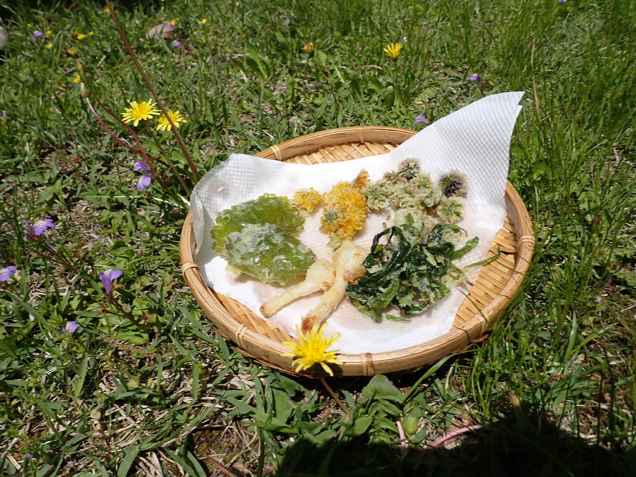 山菜調べと味比べ