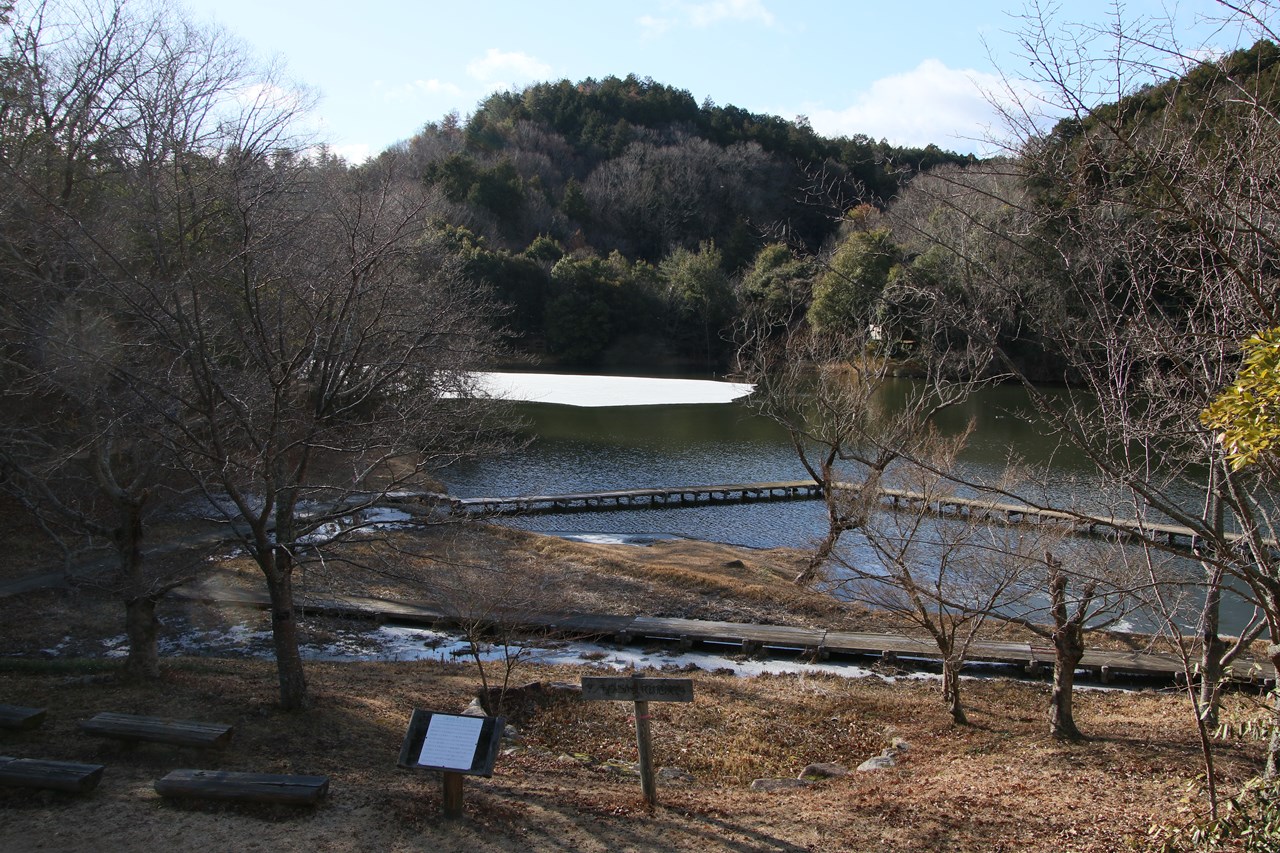 観察イベント「越冬昆虫大発見」