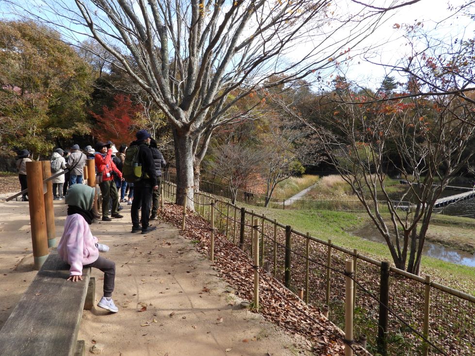 池のまわりの野鳥