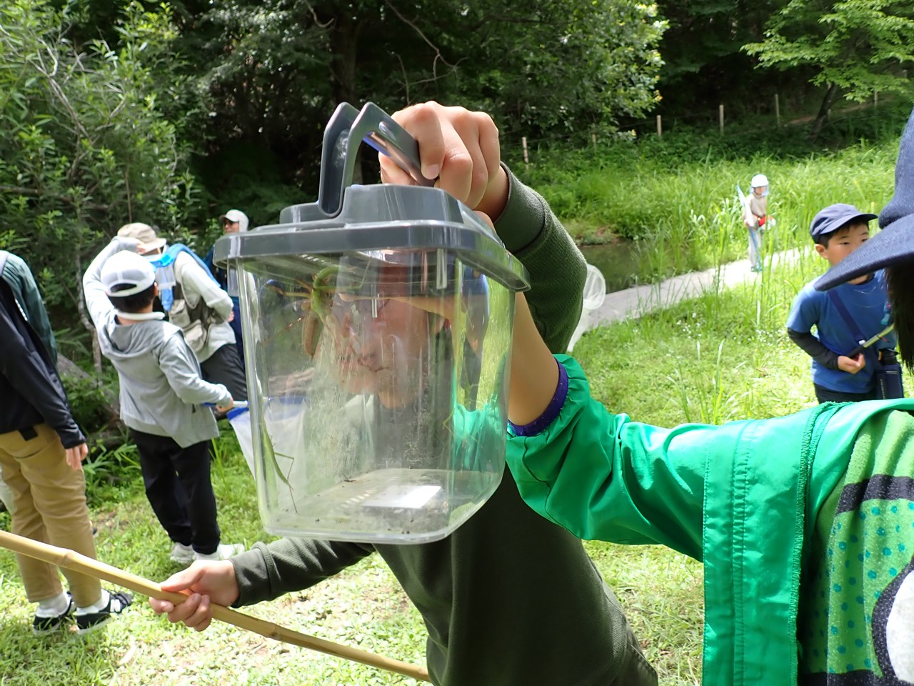 虫活しようぜ！食草・食樹から昆虫さがし