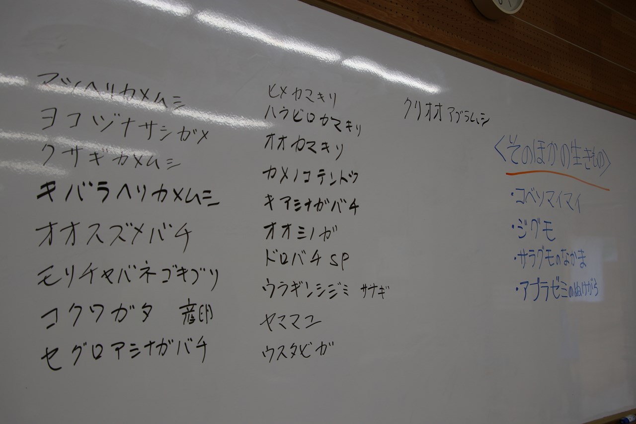 観察イベント「越冬昆虫大発見」