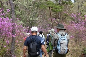 観察イベント「春の草花ウォーキング」