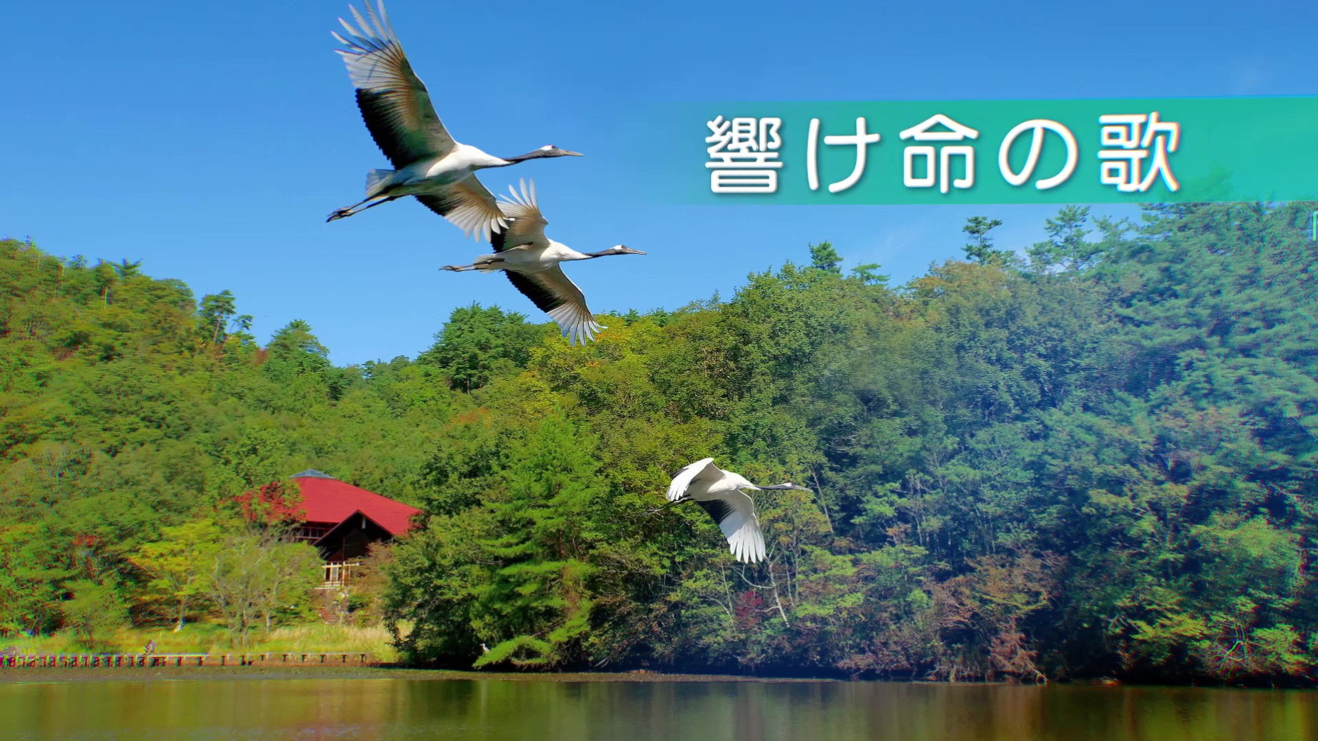 岡山県自然保護センター30th記念PR動画【公開】
