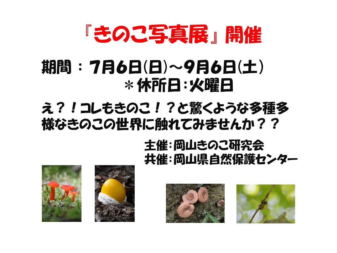 「きのこ写真展」開催　7/6～9/6