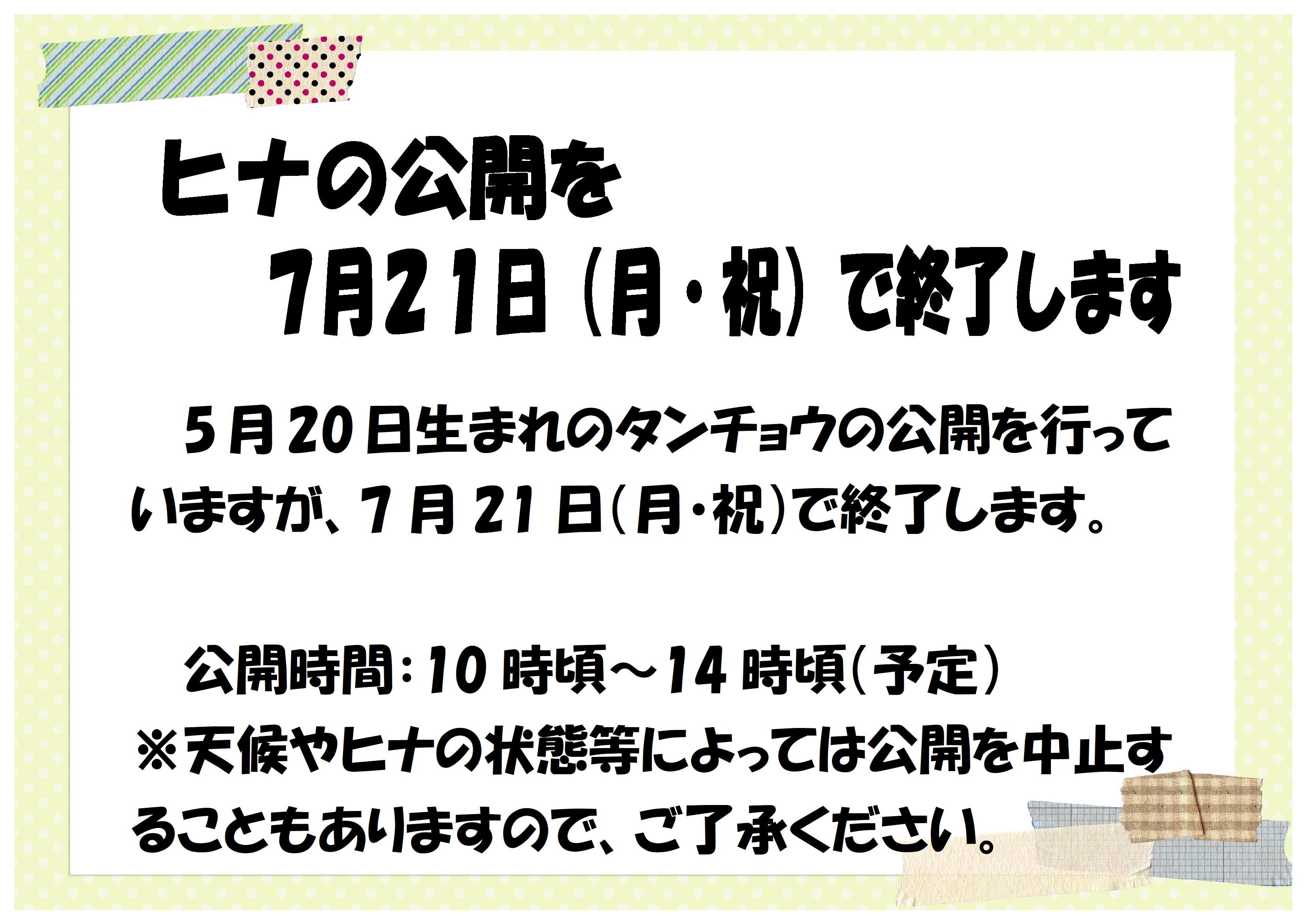 タンチョウのヒナの公開終了について