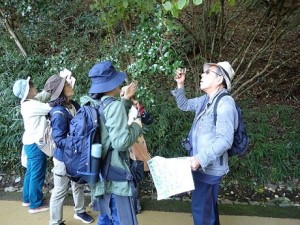 里山の樹木マスターをめざせ！～秋編～
