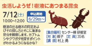 虫活しようぜ！樹液にあつまる昆虫