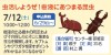 虫活しようぜ！樹液にあつまる昆虫