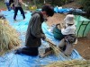 体験イベント「稲の脱穀とわら切りをしましょう」