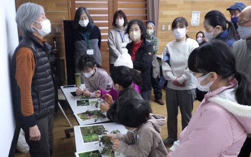 体験イベント「春の七草」