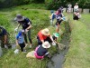 水の中の生きもの探しまくり！【受付終了】