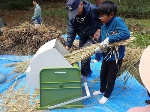 体験イベント「稲の脱穀とわら切りをしましょう」
