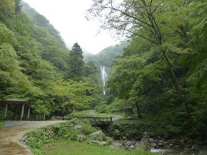 岡山県自然保護センター友の会現地集合観察会「神庭の滝周辺の紅葉散策」